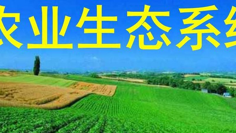 企业有机蔬菜配送上门方案