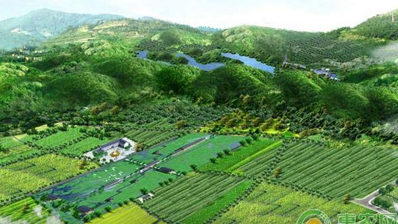 果树植保无人机作业：优势与挑战并存