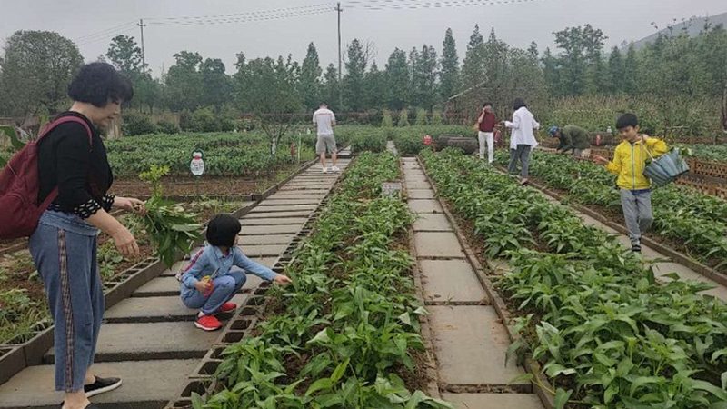 休闲农业景观设计的优与劣