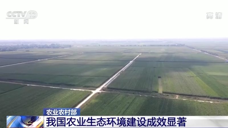 绿色食品加盟还是代理？揭秘加盟与代理的差异化优势