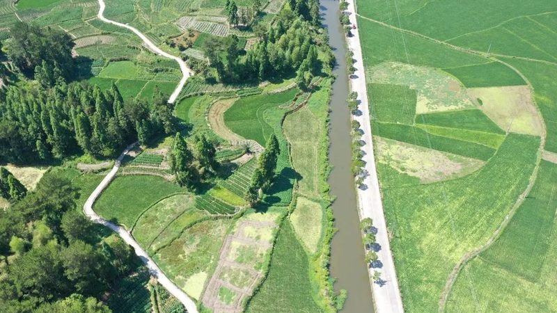 成都粮食种植基地机械设备：如何选择高效、可靠的种植伙伴