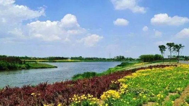 休闲农业项目如何科学评估？可行性报告模板全解析**