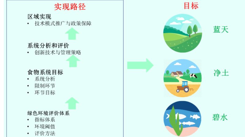 农产品溯源系统：从田间到餐桌的透明之旅
