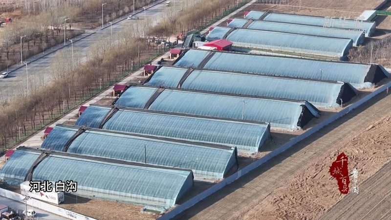 省级现代农业示范区建设规范：打造高效农业新标杆