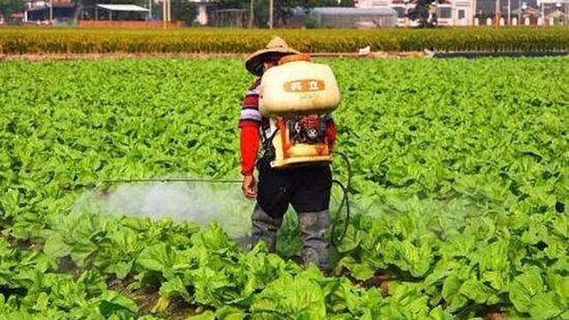 休闲农业公司：与普通农场的差异化优势